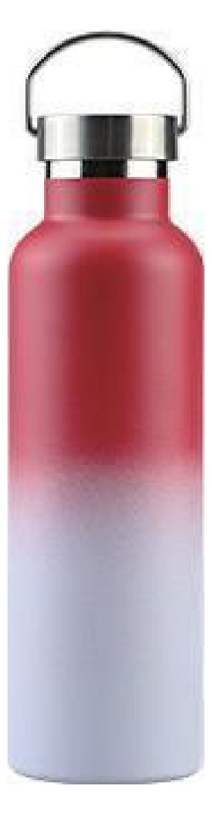 Handle Lid Water Bottle 25oz